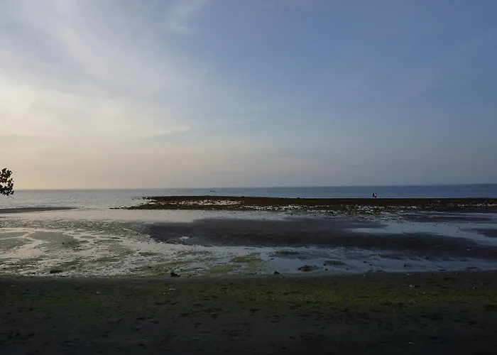 Bali Sea View ゲストハウス ロヴィーナ
